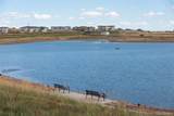 10423 Finn Drive - Photo 42