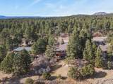 730 Tenderfoot Drive - Photo 46