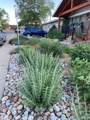 1621 Salvia Street - Photo 26