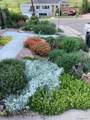 1621 Salvia Street - Photo 27