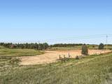 11584 State Highway 86 - Photo 12