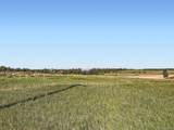 11584 State Highway 86 - Photo 13