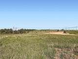 11584 State Highway 86 - Photo 14
