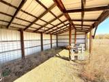 29100 County Road 183 - Photo 9