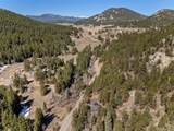 10179 Turkey Creek Road - Photo 29
