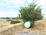 3940 Colorado Boulevard - Photo 28