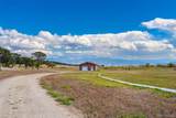 12501 Country Meadow Lane - Photo 36
