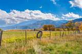 12501 Country Meadow Lane - Photo 39