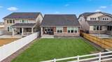 24412 Evans Drive - Photo 3