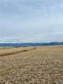 417 Andesite Way - Photo 3