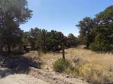  Little Bear Road - Photo 1