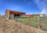 35308 Welch Trail - Photo 35