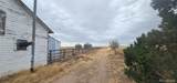 31506 County Road 22 - Photo 18
