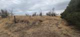 31506 County Road 22 - Photo 19