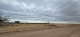31506 County Road 22 - Photo 24
