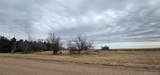 31506 County Road 22 - Photo 25