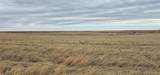 31506 County Road 22 - Photo 6