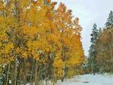  Glacier Ridge Road - Photo 8
