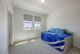 9072 Gladiola Way - Photo 15