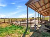 34479 Falcon Circle - Photo 40
