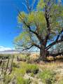51655 County Road U - Photo 21