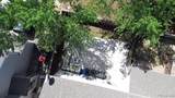 883 Macaw Street - Photo 24
