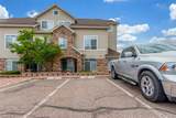 457 Black Feather Loop - Photo 35
