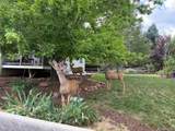 8331 Briar Haven Court - Photo 43