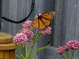 1302 I Street - Photo 50