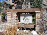 509 Red Quill Way - Photo 10