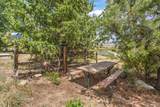 11355 County Road 270 - Photo 32