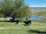 11355 County Road 270 - Photo 48