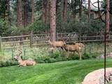 4745 Cheyenne Drive - Photo 45