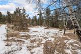 12362 Polly Drive - Photo 10