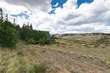 63 Welsh Cob Lane - Photo 11