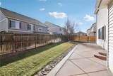 11858 Idalia Street - Photo 47