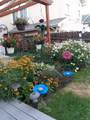 5308 Stuart Street - Photo 30