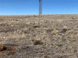 3209 Rio Blanco Road - Photo 6