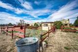 55004 Bison Drive - Photo 30