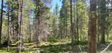 Lot 2914 Forbes Loop - Photo 3
