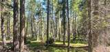 Lot 2914 Forbes Loop - Photo 4