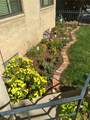 1481 Ash Street - Photo 24