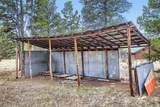 93 Prospect Drive - Photo 28