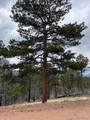 Lot 513 Leslie Loop - Photo 1