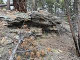 Lot 513 Leslie Loop - Photo 14
