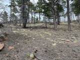 Lot 513 Leslie Loop - Photo 17