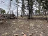 Lot 513 Leslie Loop - Photo 19