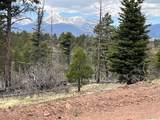 Lot 513 Leslie Loop - Photo 3