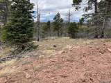 Lot 513 Leslie Loop - Photo 4
