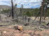 Lot 513 Leslie Loop - Photo 7